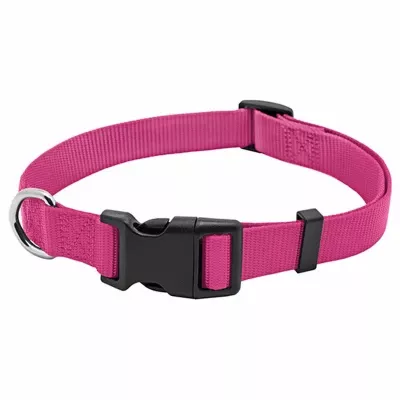 Dog Collar, Adjustable, Pink Nylon, Quadlock Buckle, 1 X 18 To 26-in.