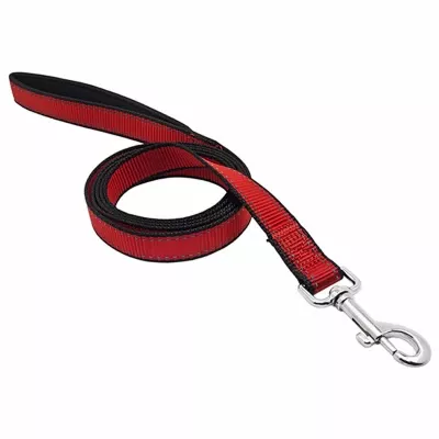 Nylon Reflective Dog Leash, Black/red, 1-in. X 6-ft.